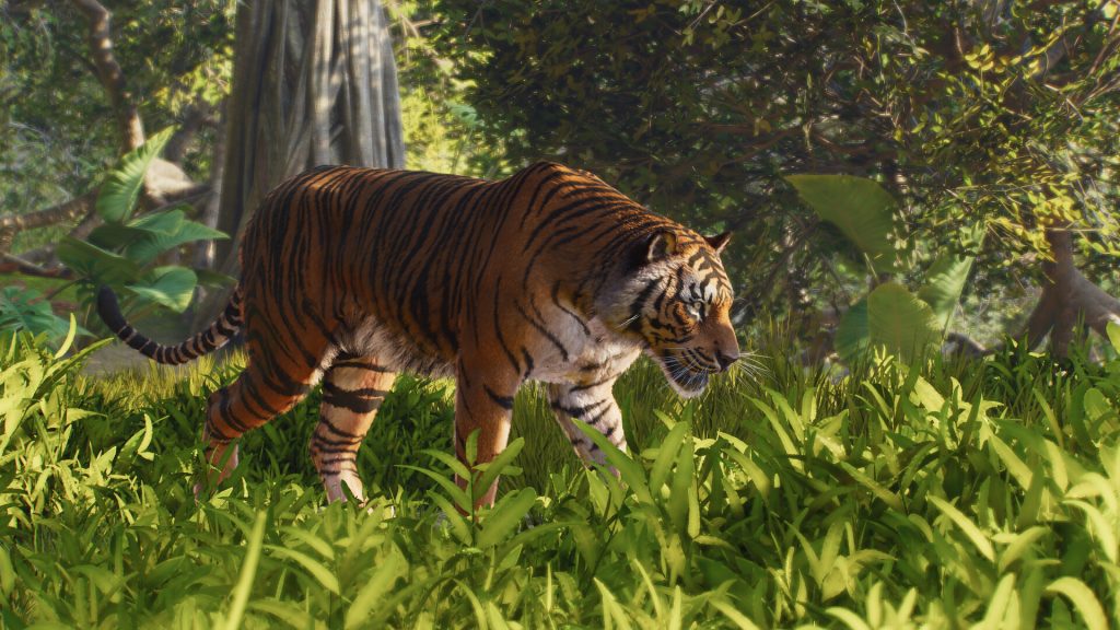Động vật trong Planet Zoo 2